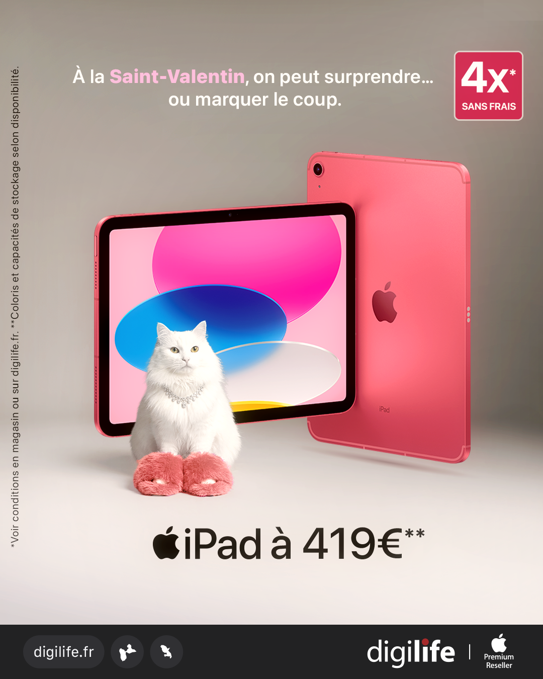 Post Saint-Valentin Digilife pour l’iPad avec un chat